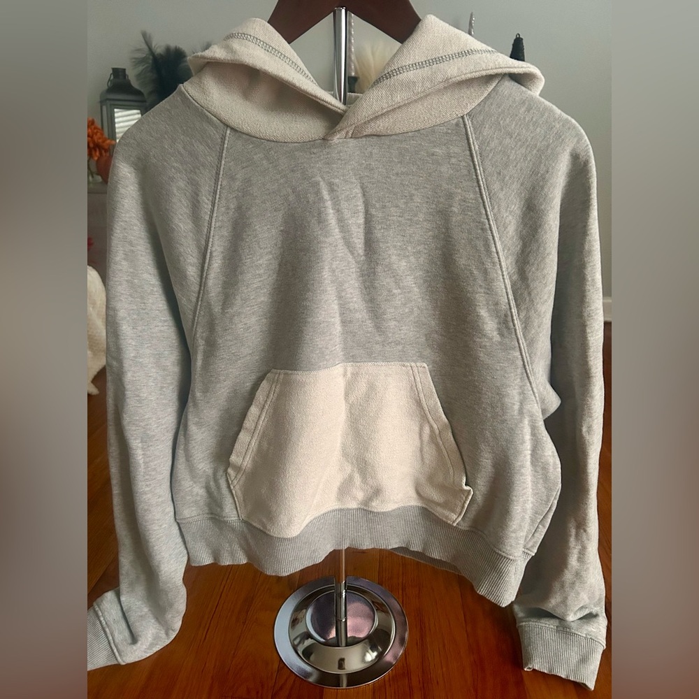 Aerie Crop/Short Hoodie